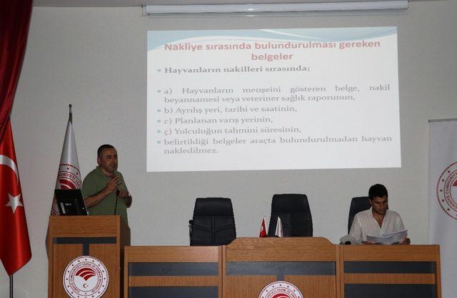 Nakliyeciler hayvan taşımak i&ccedil;in sınava girdi 1