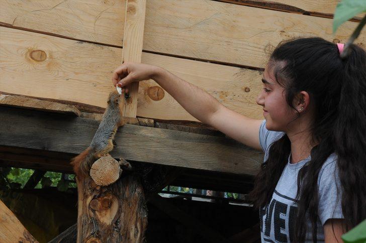 Ormanda buldukları sincap yavrusu ailenin yeni üyesi oldu G3