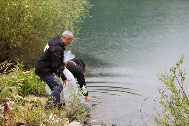 35 bin sazan yavrusu göletlere bırakıldı