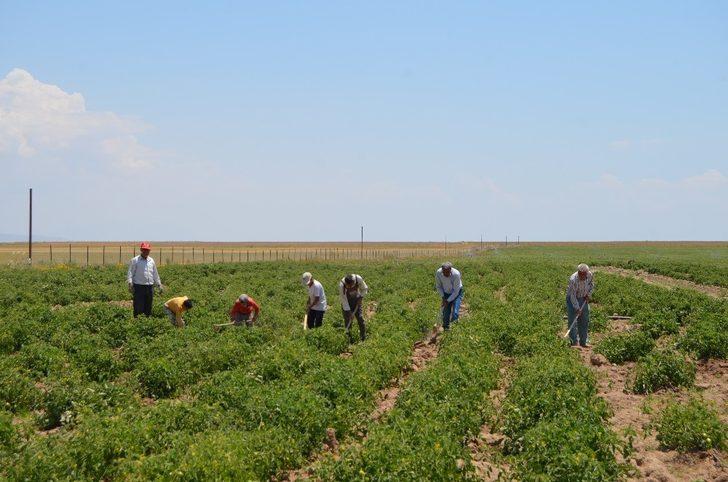 Gülistan Ovası’nda sondajla sulu tarım G1