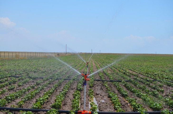 Gülistan Ovası’nda sondajla sulu tarım G3