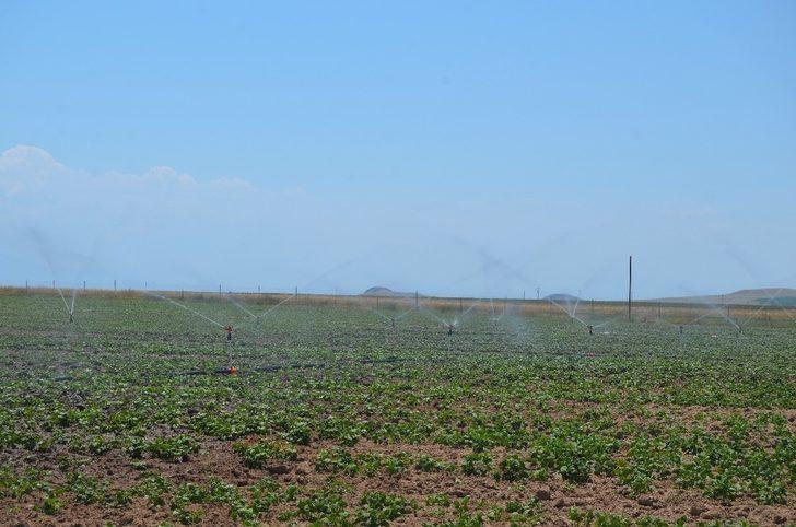 Gülistan Ovası’nda sondajla sulu tarım G4
