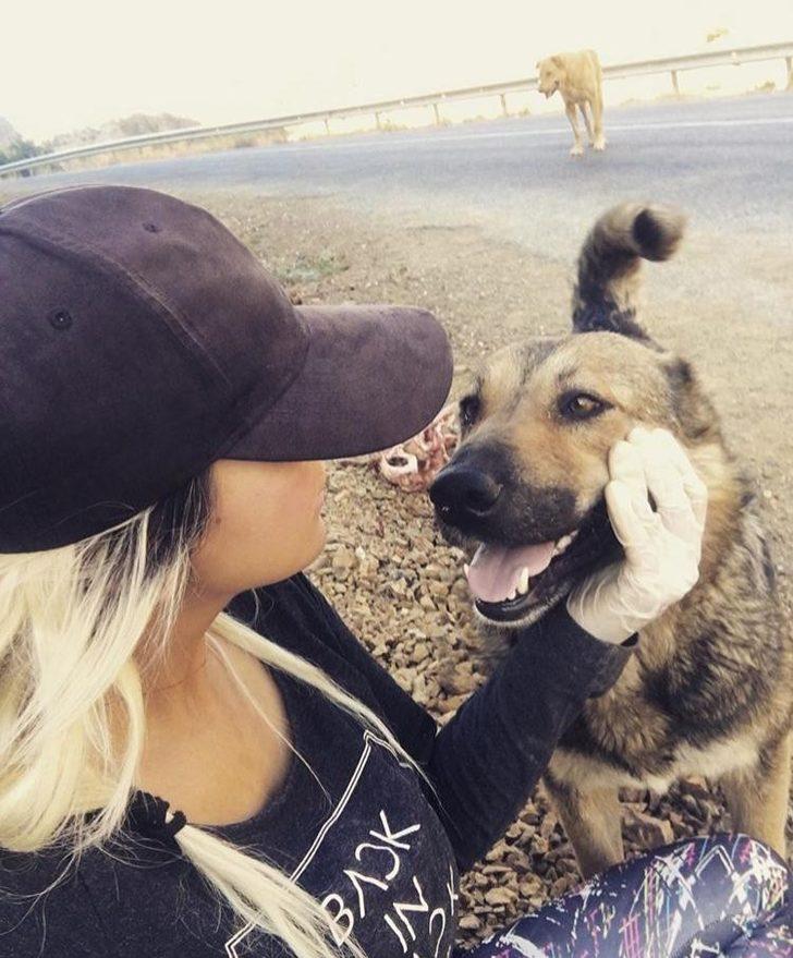 Fedakar öğretmen köpekleri için tatilden vazgeçti G5