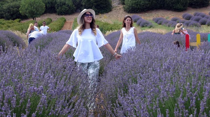 T&uuml;rkiye'nin doğal fotoğraf st&uuml;dyosu lavanta bah&ccedil;eleri