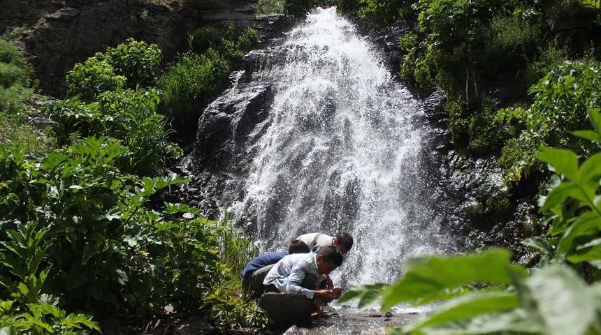 Ağrı'nın yeşil bah&ccedil;esi: Miraşe Yaylası! Her noktası ayrı g&uuml;zellikle bezeli