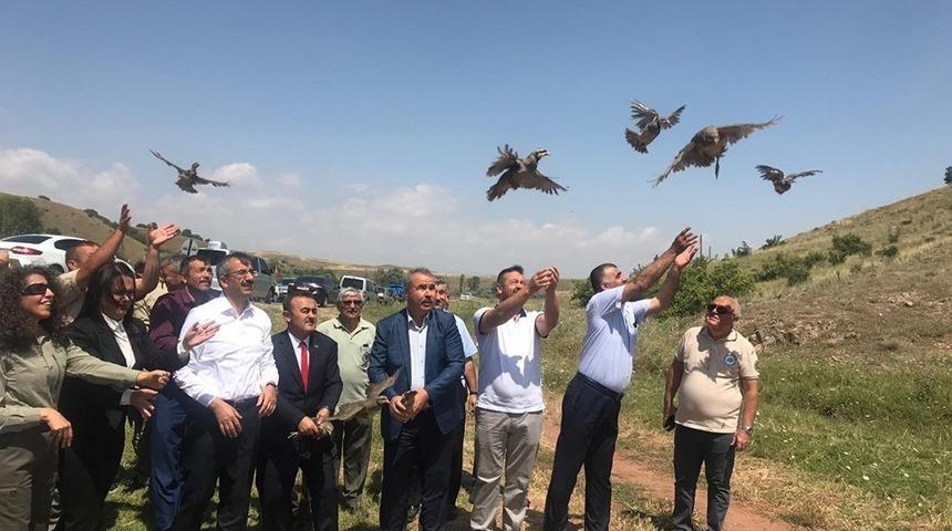 Kırıkkale&rsquo;de 2 bin keklik doğaya bırakıldı