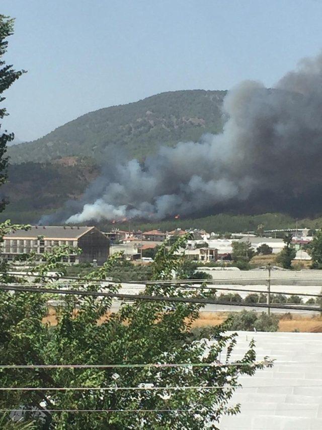 Muğla’da üçüncü yangın Fethiye’de başladı