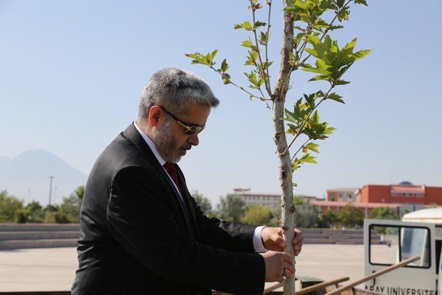 Hocaların hocası onuruna çınar fidanı dikildi