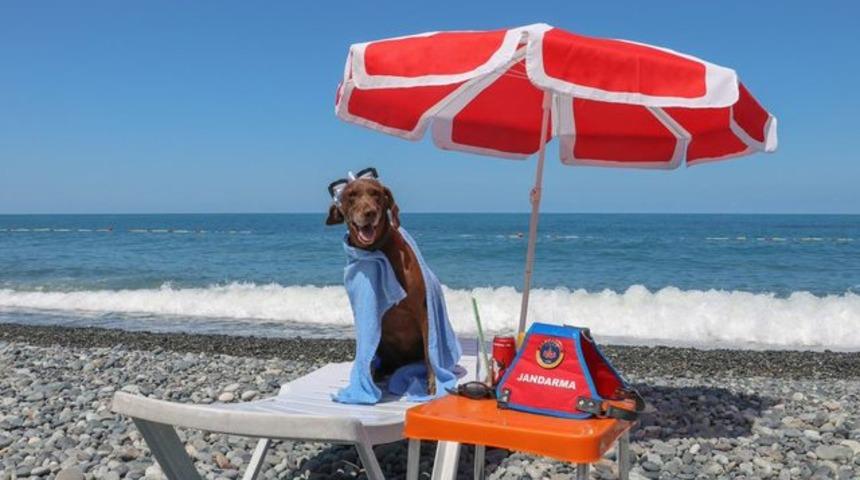 Uyuşturucu k&ouml;peği 'Vuslat'a emeklilik t&ouml;reni