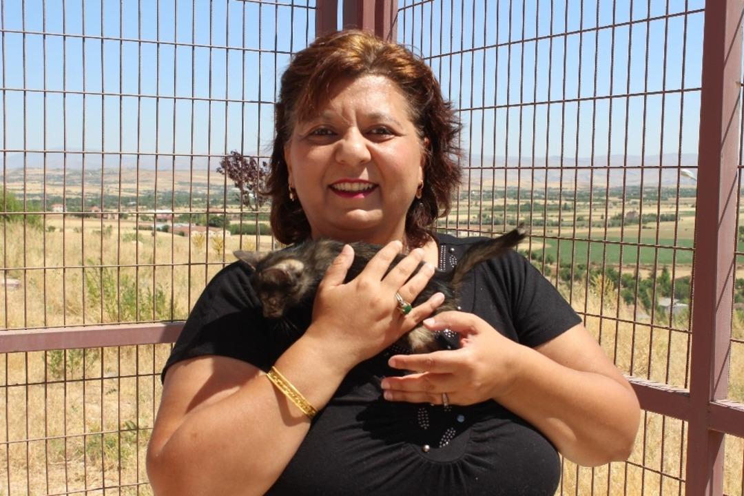 Veteriner İşleri M&uuml;d&uuml;r&uuml; Tutcugil;"Hi&ccedil;bir zaman mama toplama  talebimiz olmadı&rdquo;