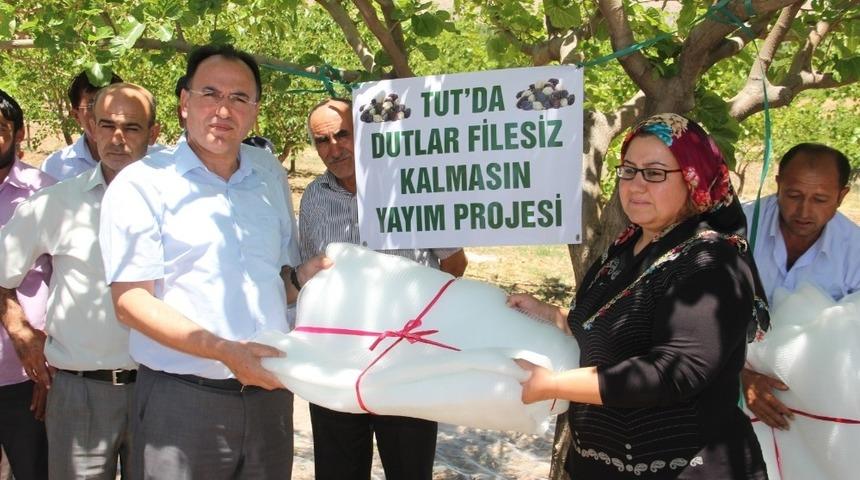 Dut &uuml;reticilerine dut filesi