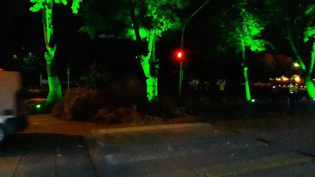 Malatya'da ağaç dalı devrildi, yol kapandı