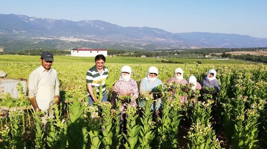 Başkan İnal t&uuml;t&uuml;n &uuml;reticisini ziyaret etti
