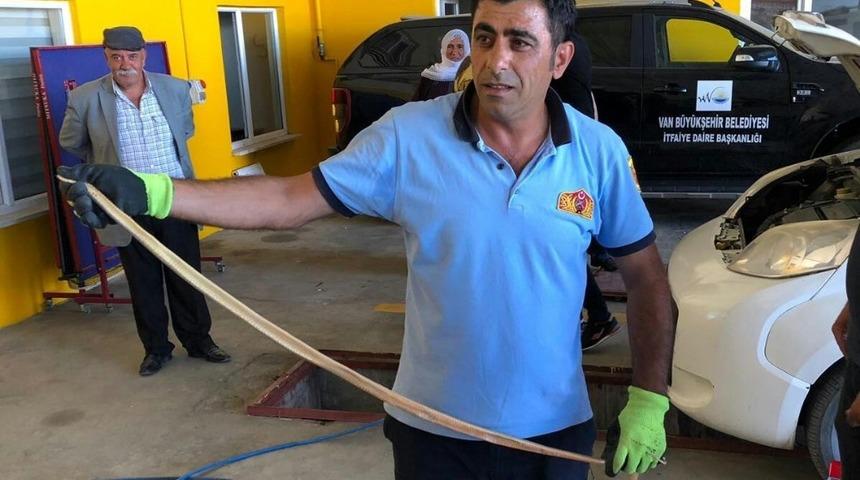 Araca giren yılan korkuttu