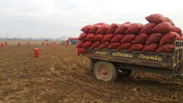 Patates üreticileri ithalatın kendilerine zararı olduğunu belirtiyor