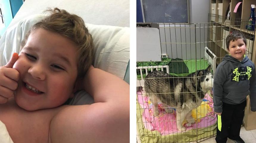 Beyin Tümörüne Yakalanan Miniğin Bir Hayvan Barınağında Gönüllü Olarak Verdiği Yaşam Mücadelesi