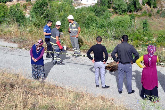 Hattan kopan elektrik kablosu, 10 koyunu telef etti