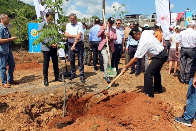 248 şehit için 248 fidan