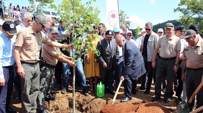 248 şehit i&ccedil;in 248 fidan