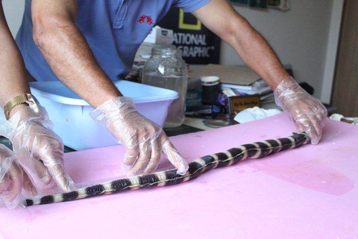 Atlas Okyanusunu geçti, Antalya'da ortaya çıktı! G2