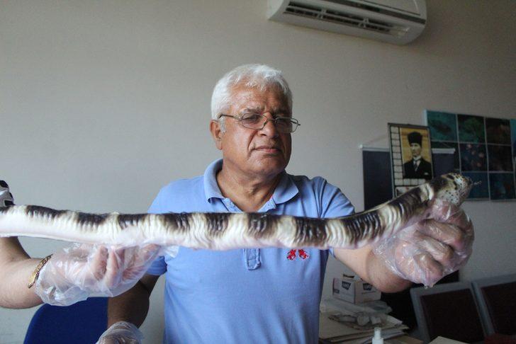 Atlas Okyanusunu geçti, Antalya'da ortaya çıktı! G5