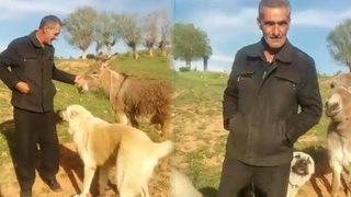 15 gün sonra sahiplerini gören hayvanlar sevgilerini böyle gösterdi