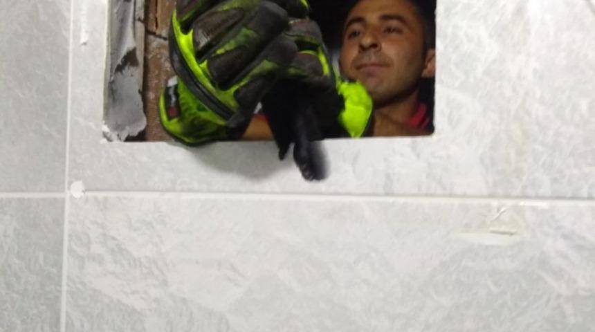 Havalandırma boşluğuna d&uuml;şen kargayı itfaiye kurtardı