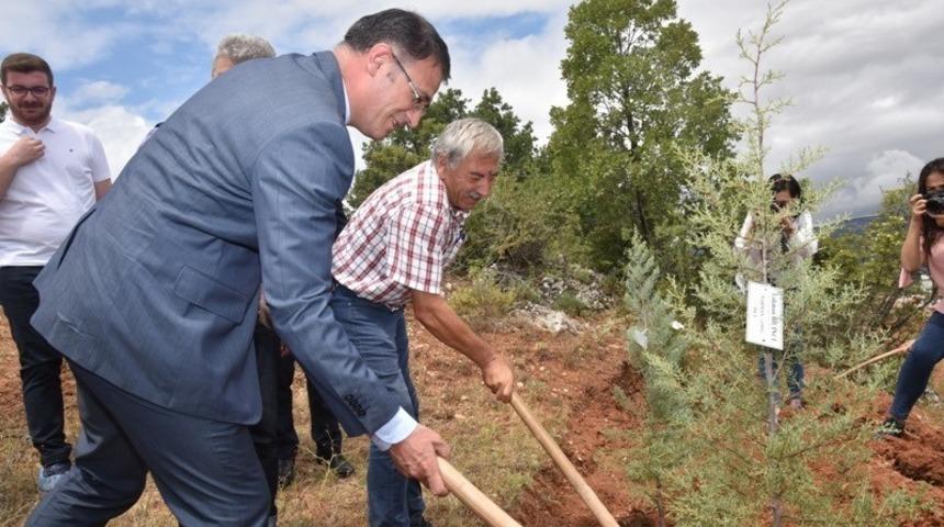 Tokat’ta, demokrasi şehitleri anısına fidan dikildi