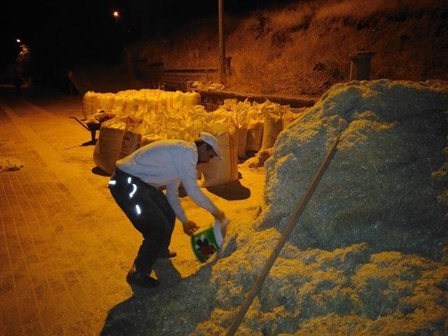 Gercüş’te kışlık saman hazırlıkları sürüyor