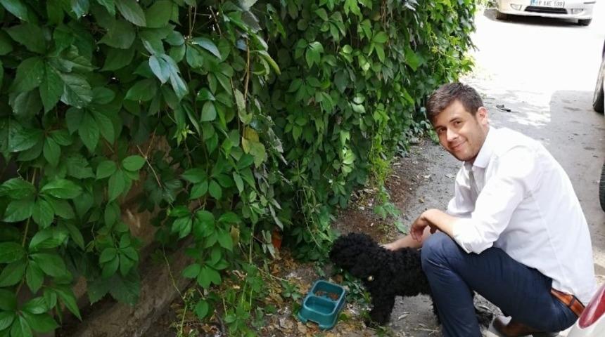 Aksaray &Uuml;lk&uuml; Ocaklarından hayvanlara yardım eli