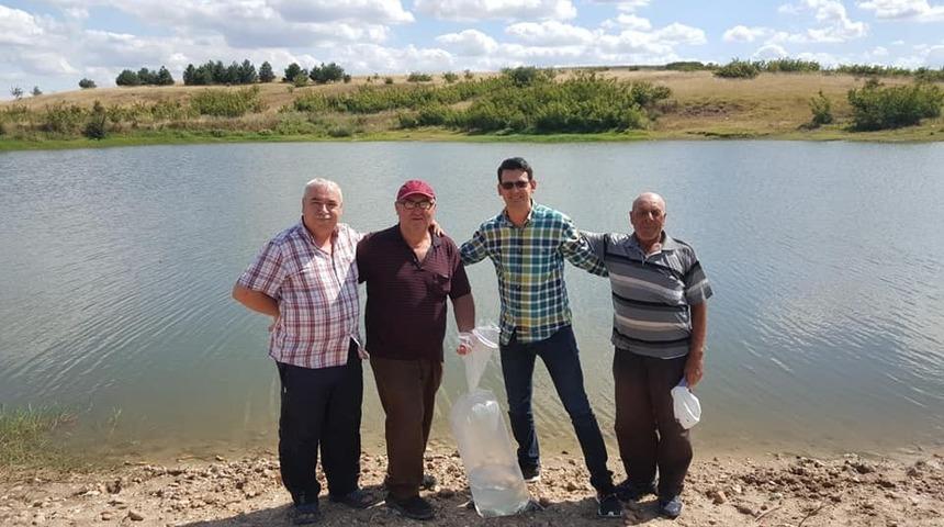 Sazan balığı yavruları g&ouml;lete bırakıldı