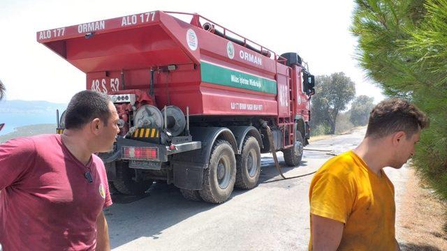 Başkan Gürün’den yangınlarla mücadele eden ekiplere teşekkür