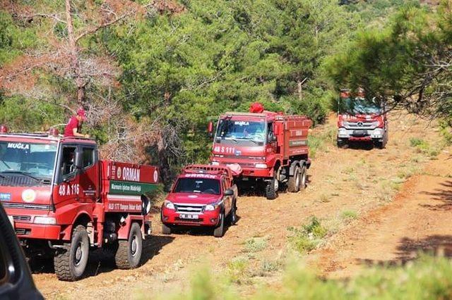 Başkan Gürün’den yangınlarla mücadele eden ekiplere teşekkür