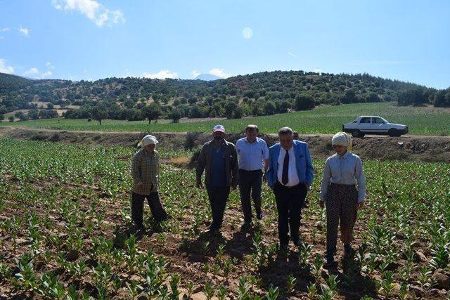 Kaymakam Soley başarılı öğrenciyi tarlada ziyaret etti