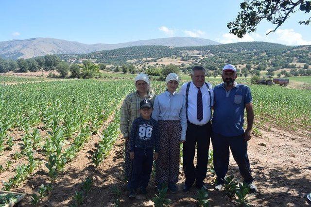 Kaymakam Soley başarılı öğrenciyi tarlada ziyaret etti