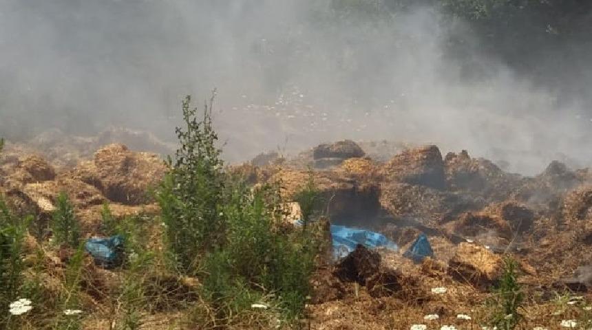 Pazaryeri&rsquo;nde samanlar alev alev yandı