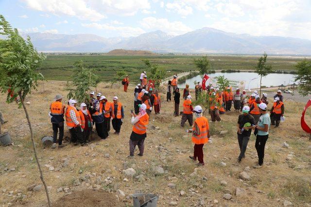 Erzincan’da 251 şehit anısına 251 adet fidan toprakla buluştu