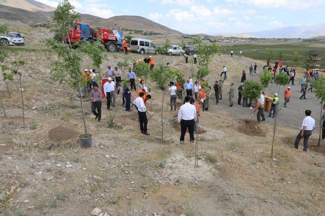 Erzincan’da 251 şehit anısına 251 adet fidan toprakla buluştu