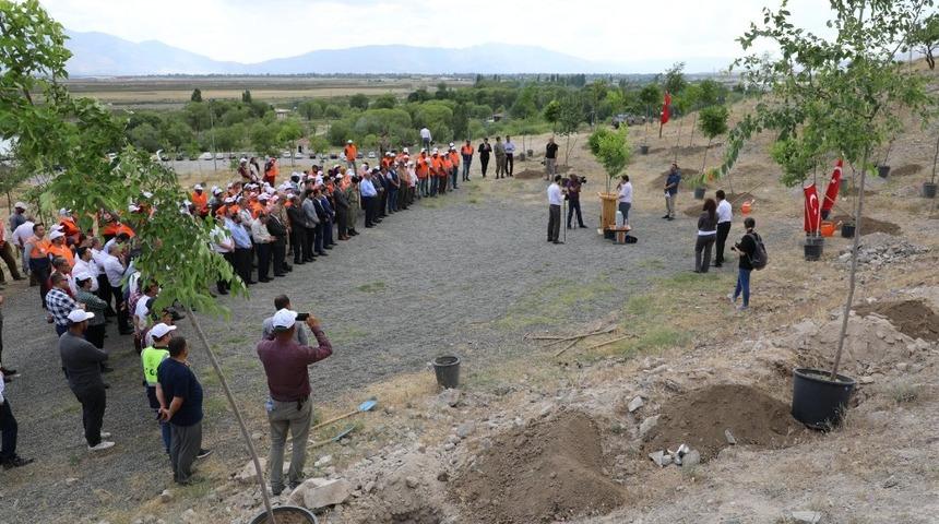 Erzincan&rsquo;da 251 şehit anısına 251 adet fidan toprakla buluştu