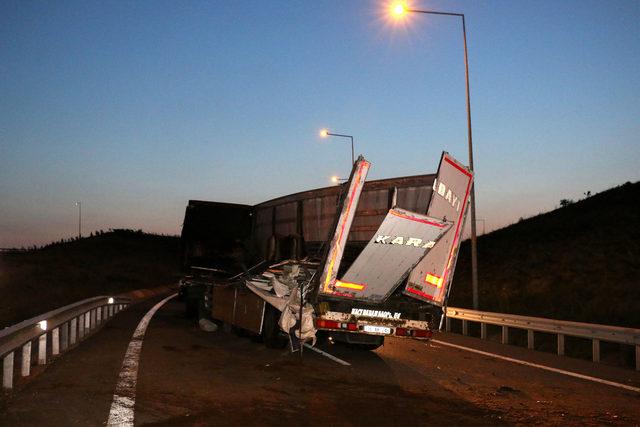 Kurbanlık taşıyan TIR bariyere çarptı, hayvanlar yola savruldu