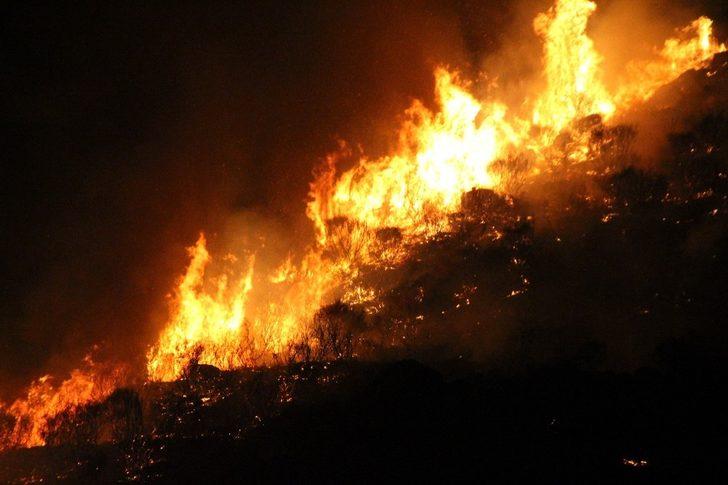 Cayır cayır yandı! Herkes seferber oldu G4