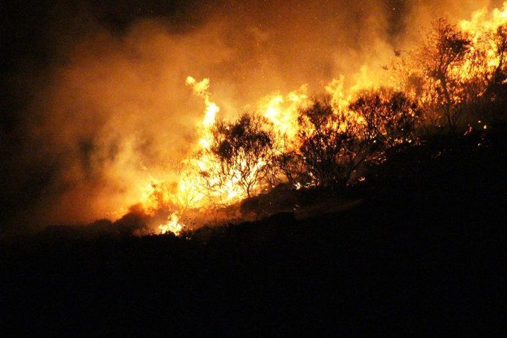 Cayır cayır yandı! Herkes seferber oldu G5