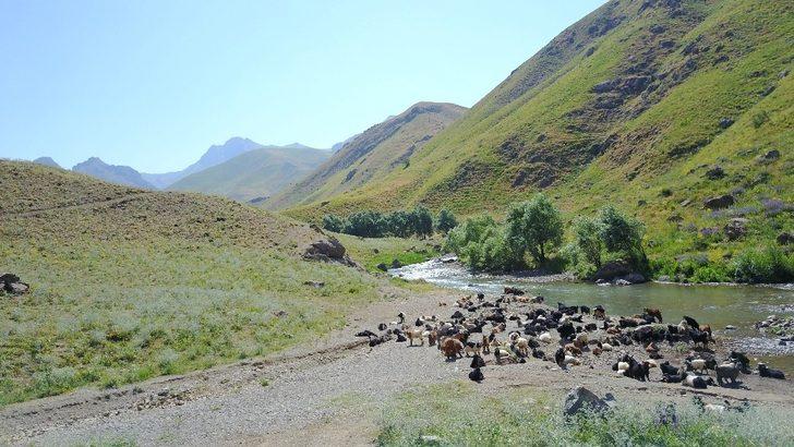 O ilçeye yaz daha yeni geliyor G3