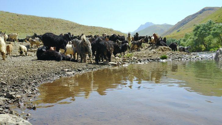 O ilçeye yaz daha yeni geliyor G1