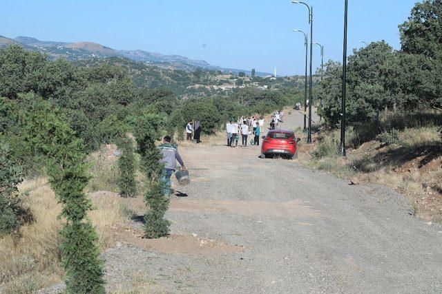 Ali Dağı’nda ağaçlandırma çalışmaları sürüyor