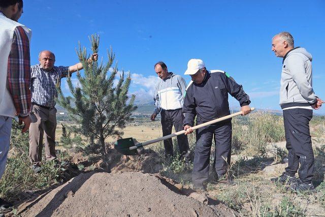 Ali Dağı’nda ağaçlandırma çalışmaları sürüyor