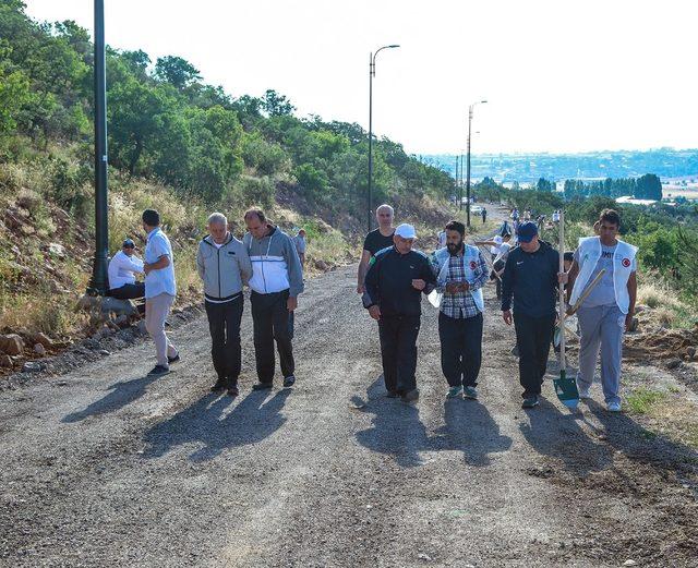 Ali Dağı’nda ağaçlandırma çalışmaları sürüyor