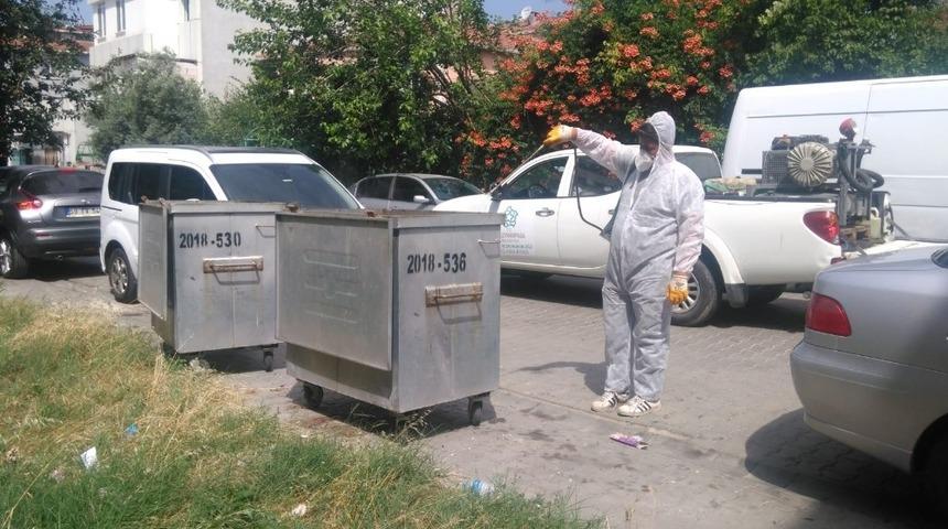 Karasineğe karşı &ccedil;&ouml;p konteynerleri ila&ccedil;lanıyor