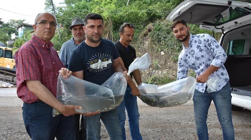 Gaga G&ouml;l&uuml;&rsquo;ne 30 bin sazan yavrusu