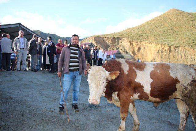 Oltu kapalı hayvan pazarına kavuştu